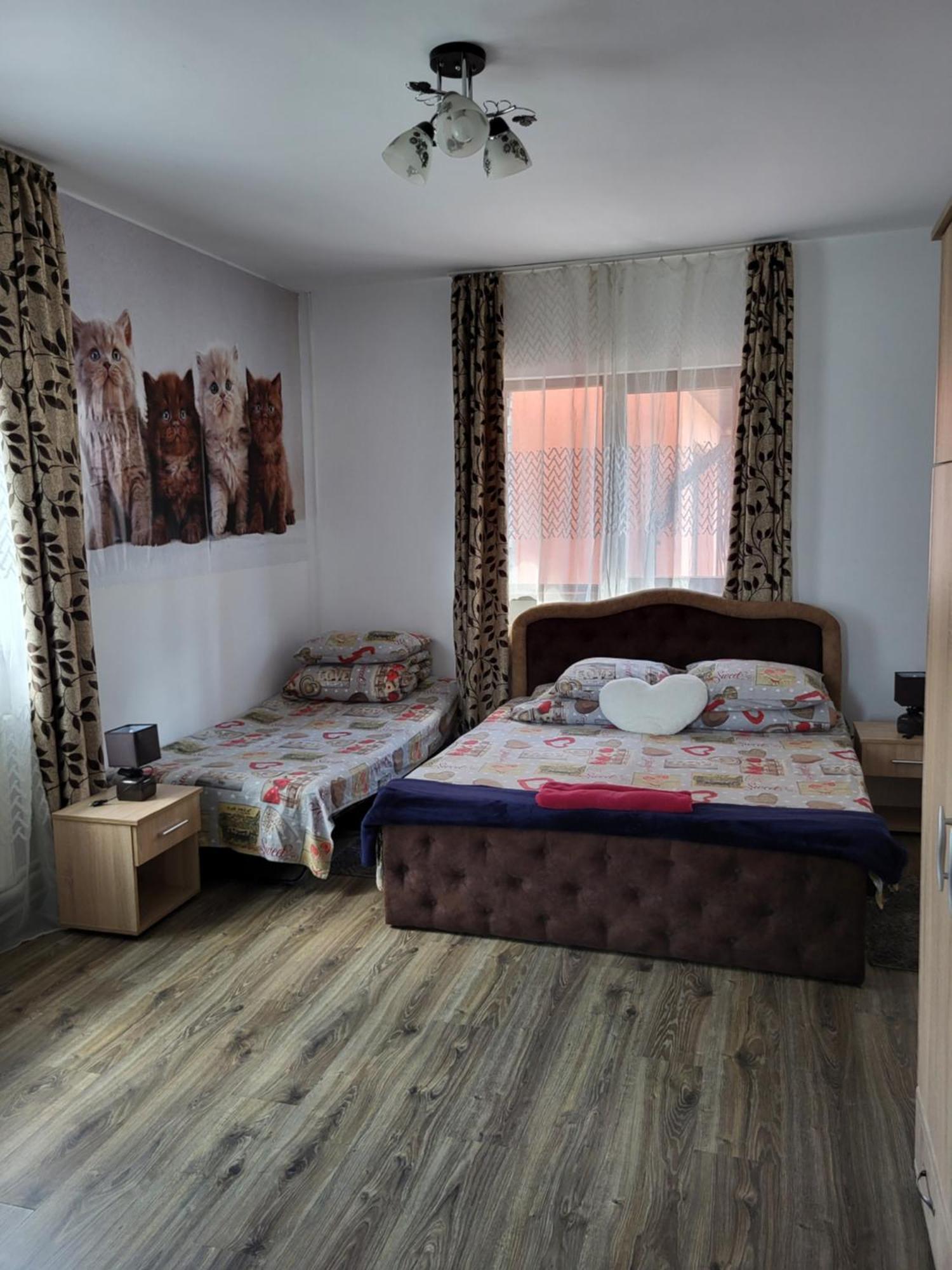 Casa Raraului Villa Câmpulung Moldovenesc Esterno foto